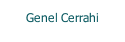 Genel Cerrahi